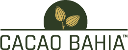 Cacao Bahia 